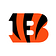 Cincinnati Bengals